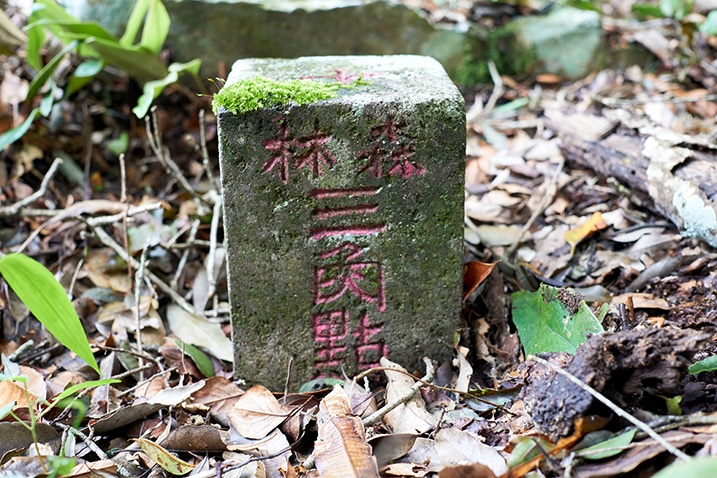 Closeup of triangulation stone of 戶亞羅山東 - HuYaLuoShan East