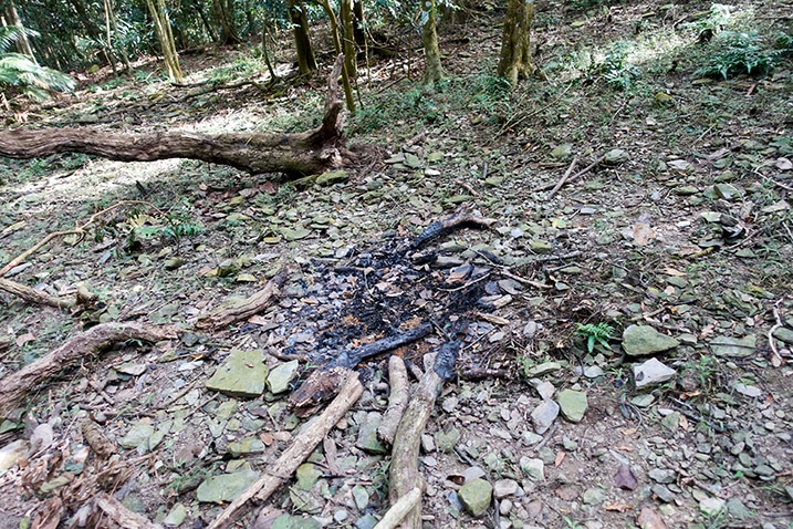 Old campfire