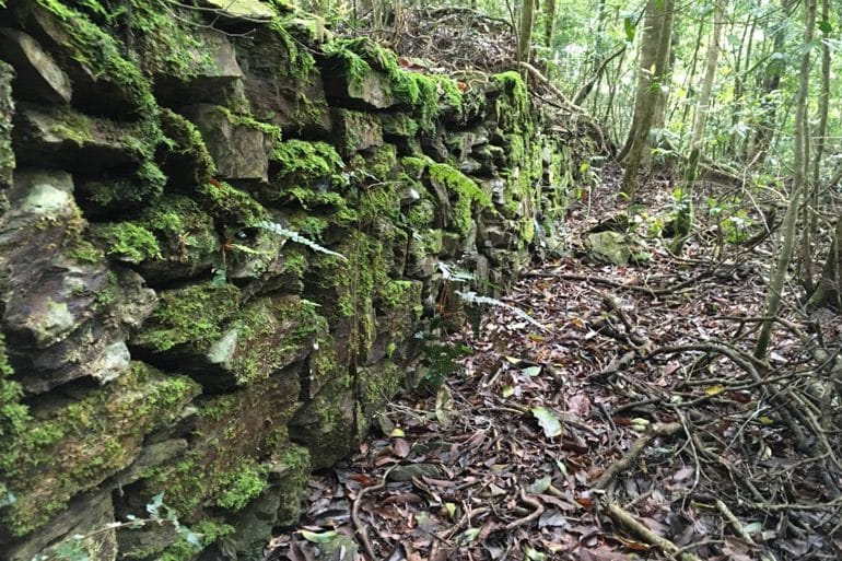 Stone wall in forest on the trail to Wangzishan-網子山-Minghaishashan-鳴海下山-Minghaishan-鳴海山