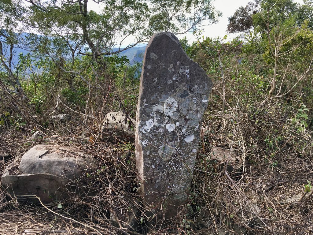 Tall and thin stone standing upright