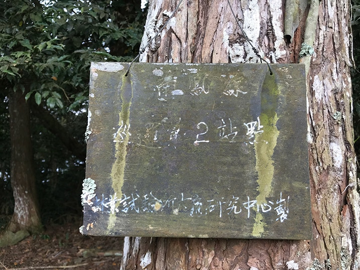 very old sign attached to tree - barely legible Chinese writing on sign