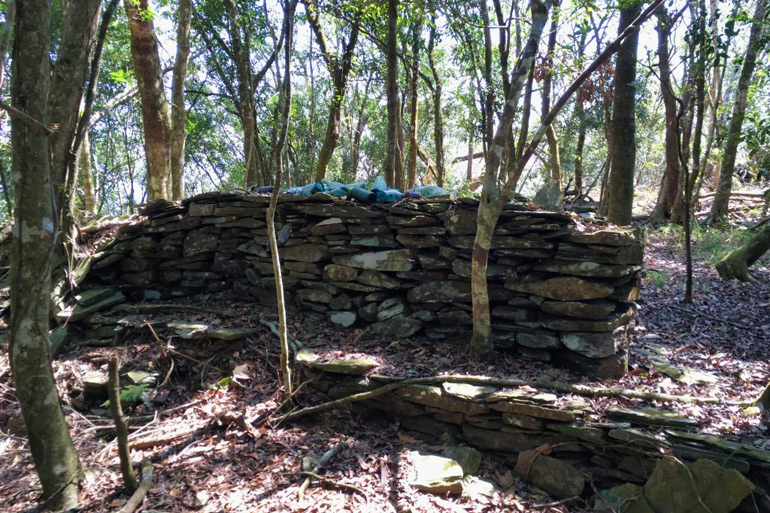Old stone wall in forest