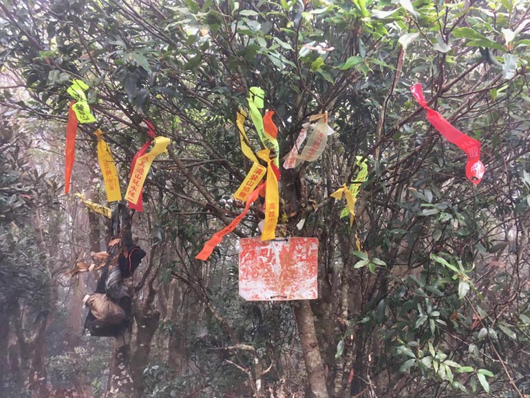ShiKeJian 石可見山 ribbons on trees and old sign