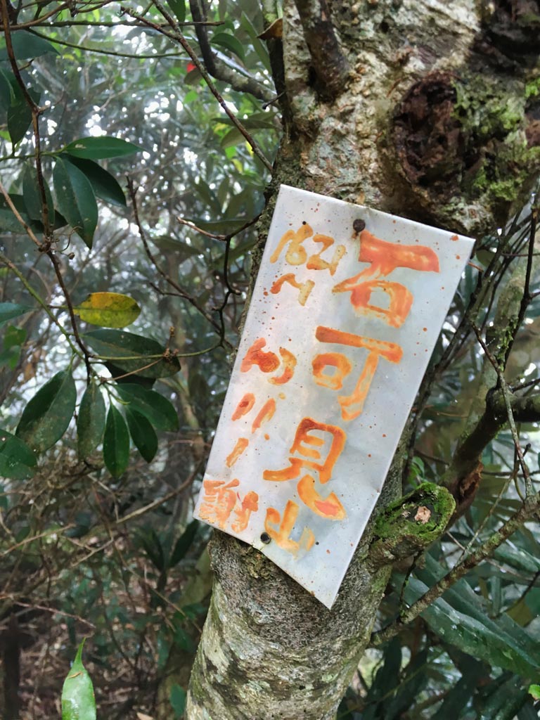 ShiKeJian 石可見山 sign on tree
