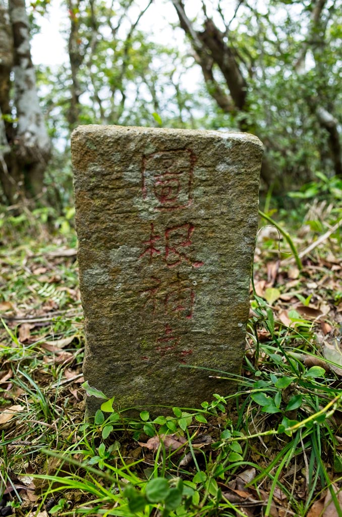 WuLiYi Northeast Peak - 霧里乙山東北峰 triangulation marker