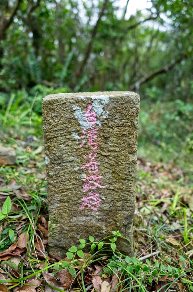 WuLiYi Northeast Peak - 霧里乙山東北峰 triangulation marker