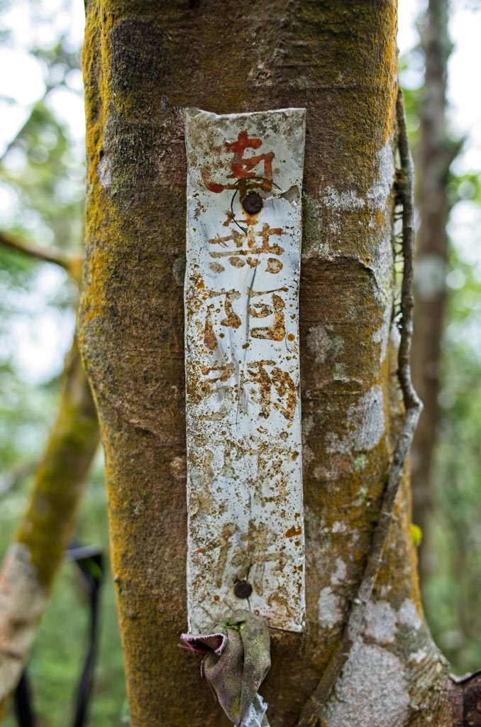 Religious writing on metal strip attached to tree