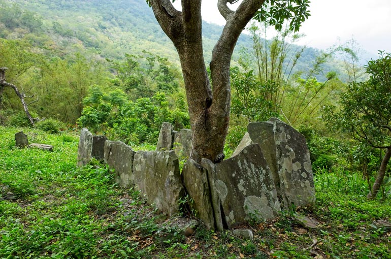 Several thin stones standing upright half circling a tree