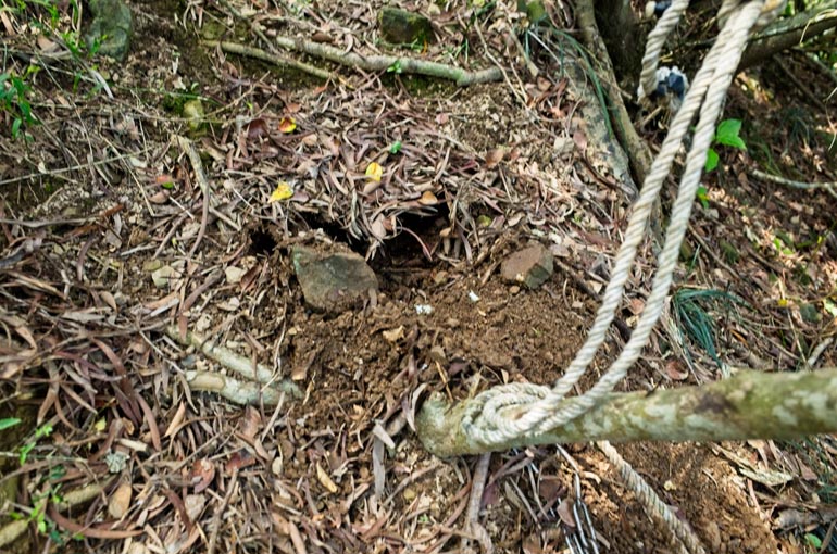 Hole in ground from where the trap used to be