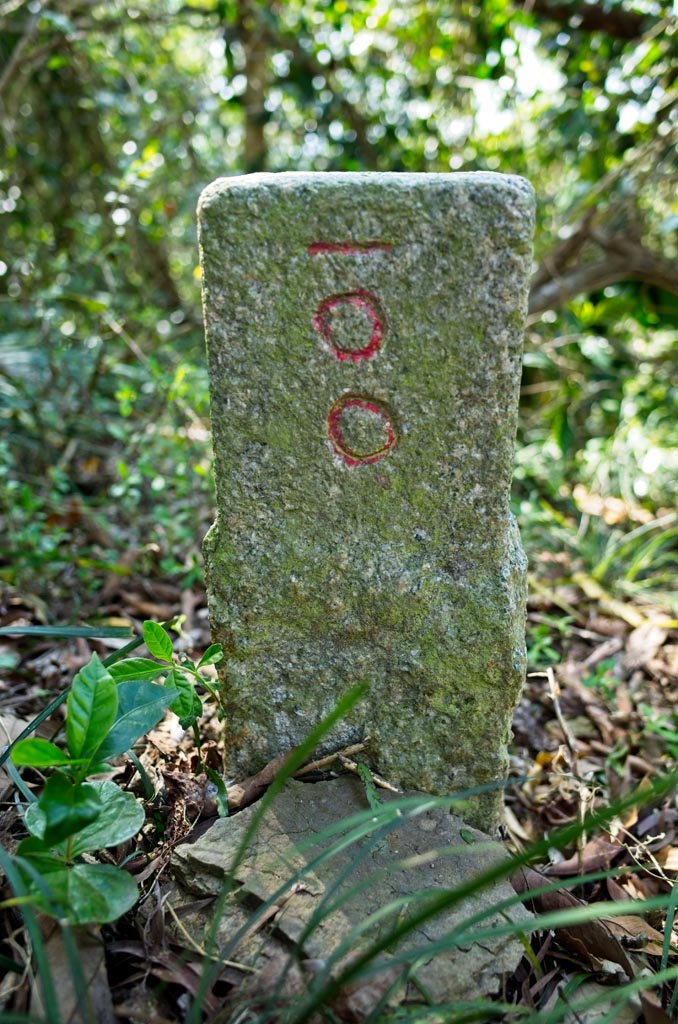 Lion Head Mountain - 獅子頭山 peak marker up close - Number 100