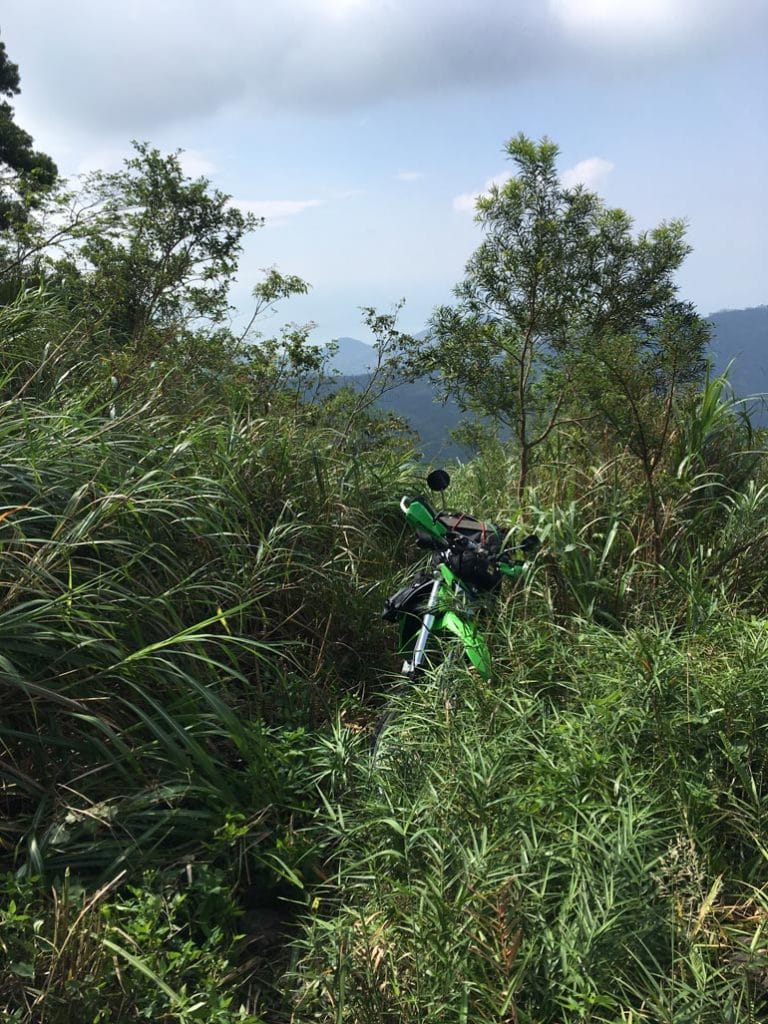Offroad motorcycle on overgrown trail