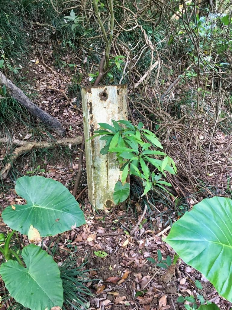 Metal beam sticking out of ground