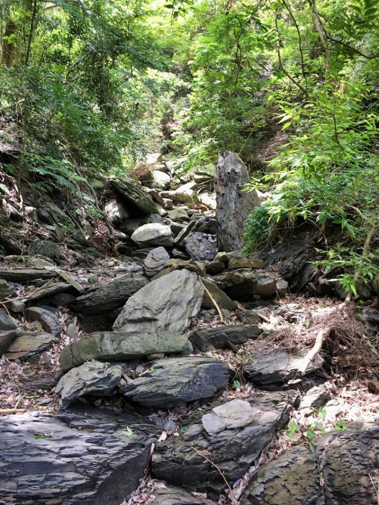 A dry rocky stream bed