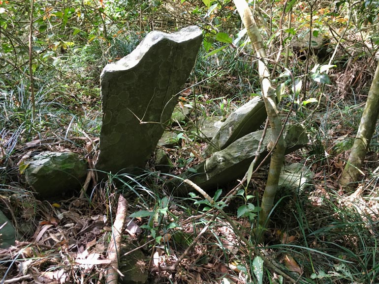 One large stone sticking out of ground at odd angle