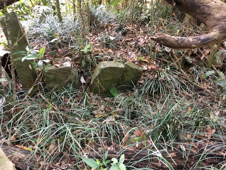 Stones on the ground - long grass in front