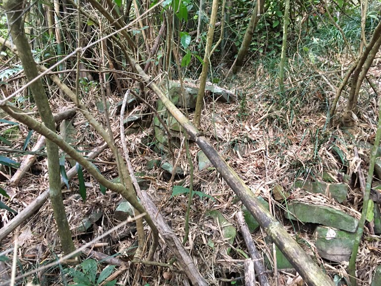 A mess of fallen bamboo and stones lying about