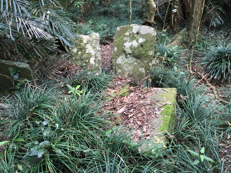 Large stones and tall-ish grass