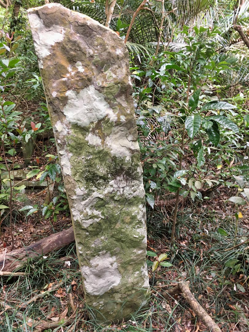 Large, thin stone coming up out of the ground