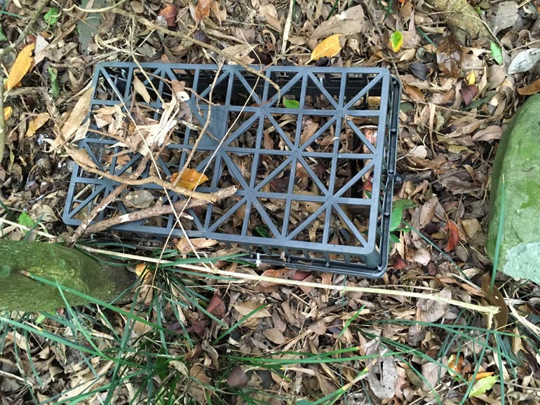 Plastic rat trap lying on the ground