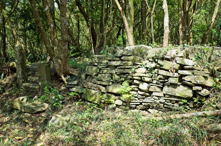 Stone wall foundation - trees behind