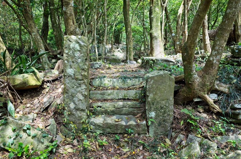 Old stone stairs going up - trees around and behind