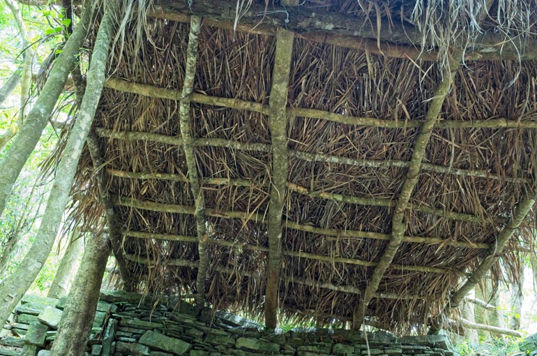 Thatched roof closeup