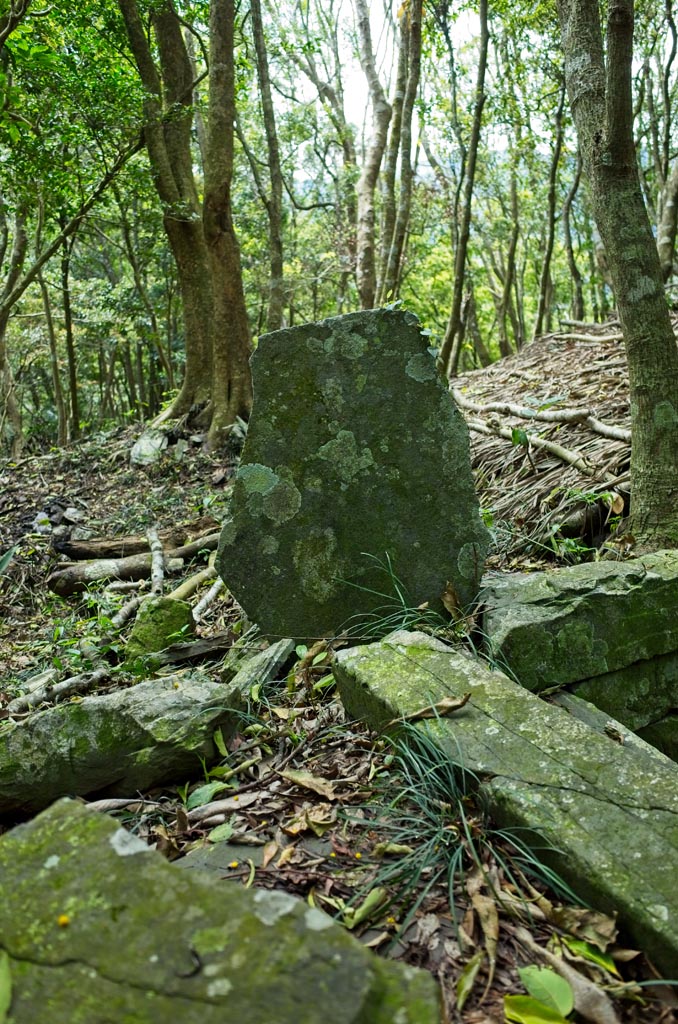 Corner of stone foundation with thin, flat stone sticking up