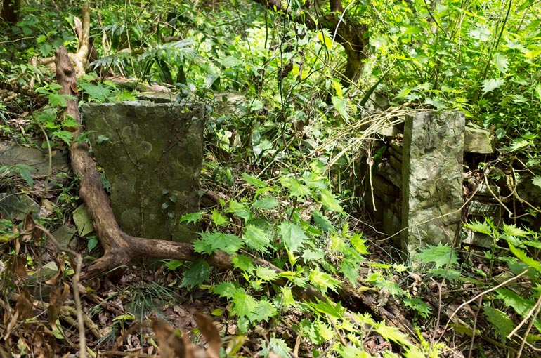 Stone foundation with vegetation overgrowth
