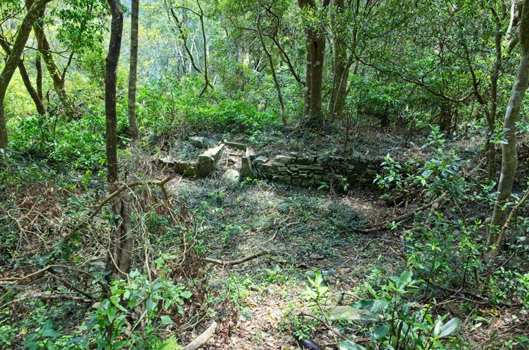 Stone foundation in distance - trees in foreground