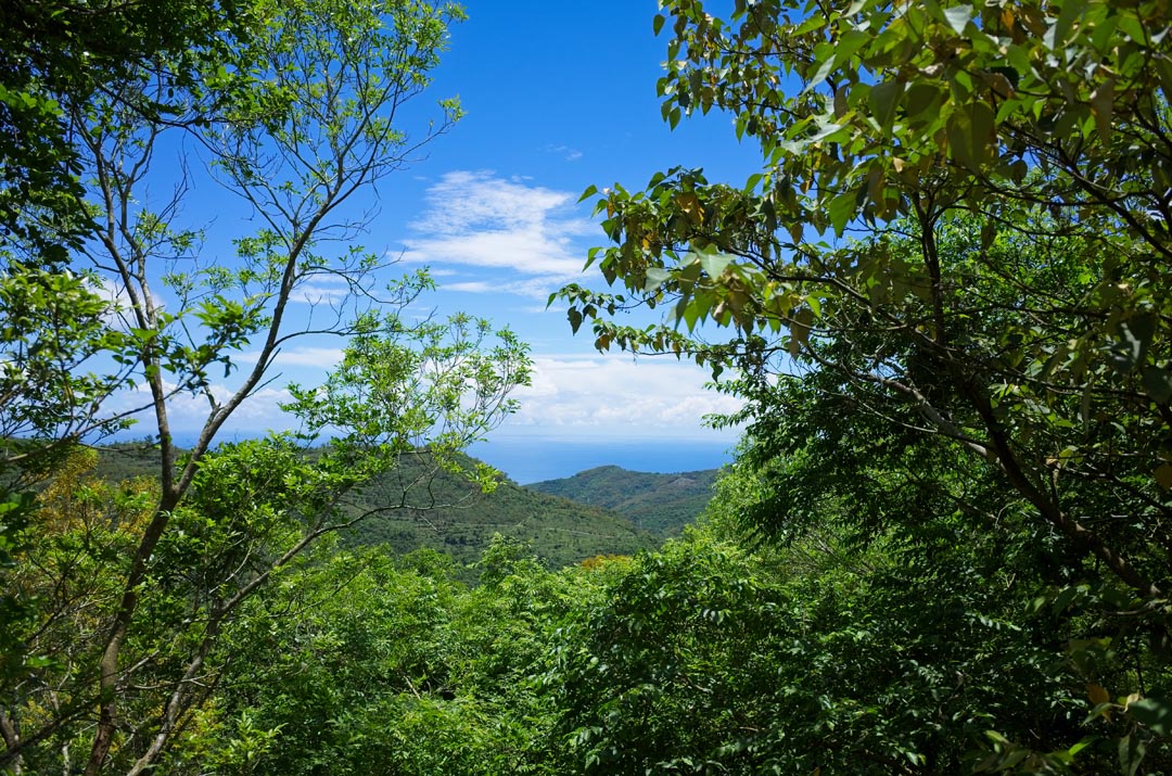 Mountains and ocean in the distance - trees blocking view