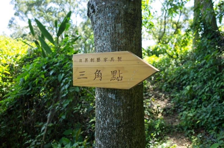 Wooden sign pointing the correct way