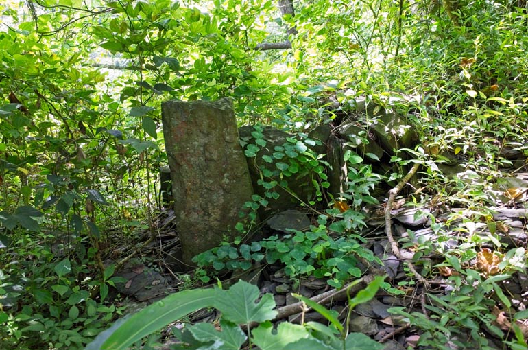 Large flat stone sticking up next to stacked stone wall covered with vines