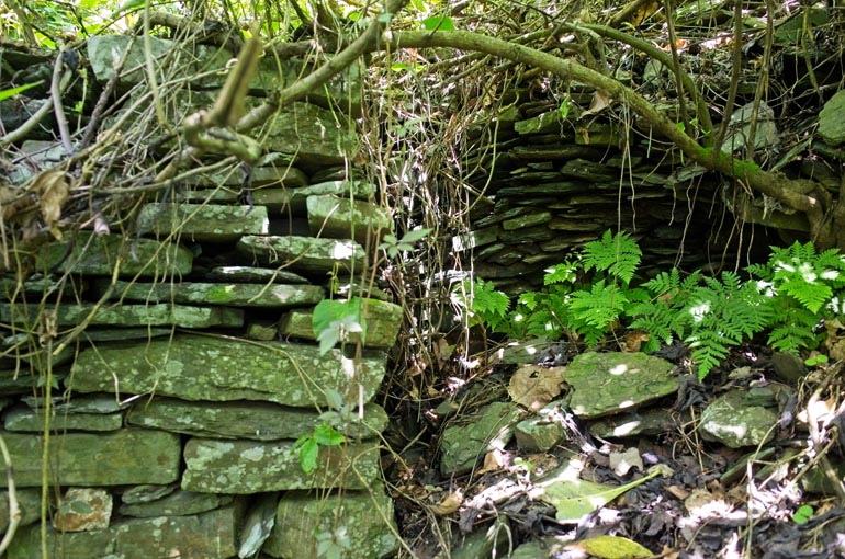 Stacked stone foundation with vines and tree branch