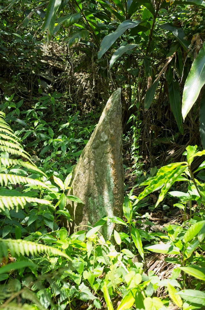 Large pointed flat stone sticking out of ground