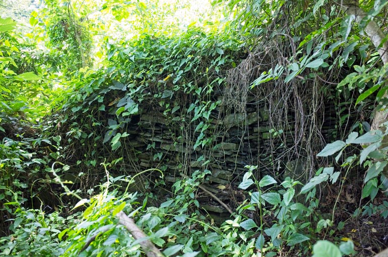 Stacked rock foundation wall with vines growing all over
