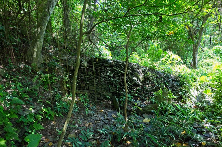 stacked rock wall - trees and overgrowth around