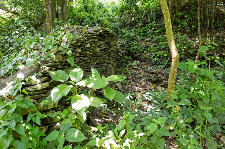 stacked rock wall with vines on it 