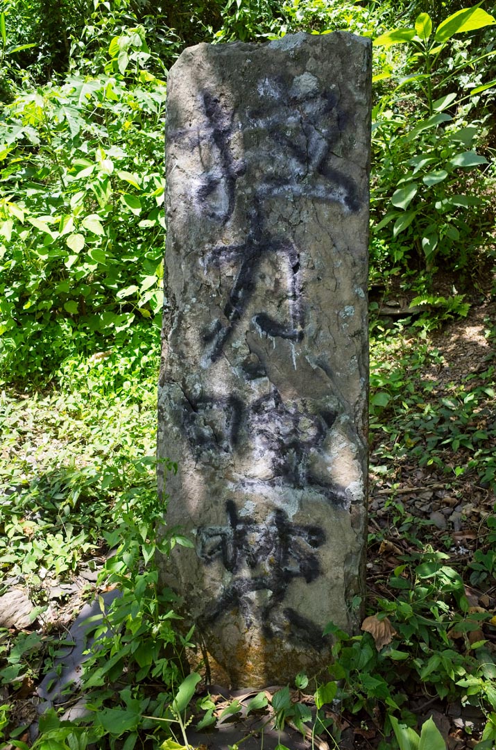 Tall large thin stone standing up with a name spray painted on it