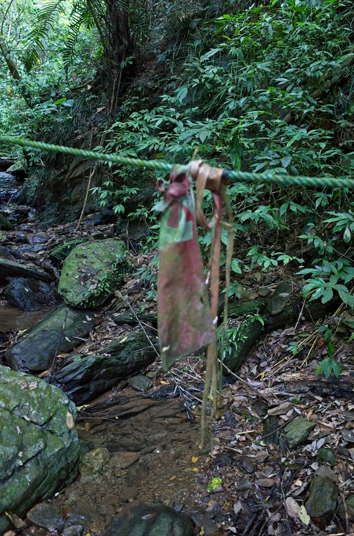 Mossy rope strung across the stream with a tattered red flag attached