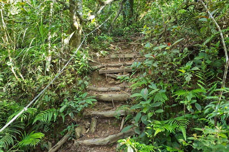 Trail going up - ropes to the left - logs placed as stairs