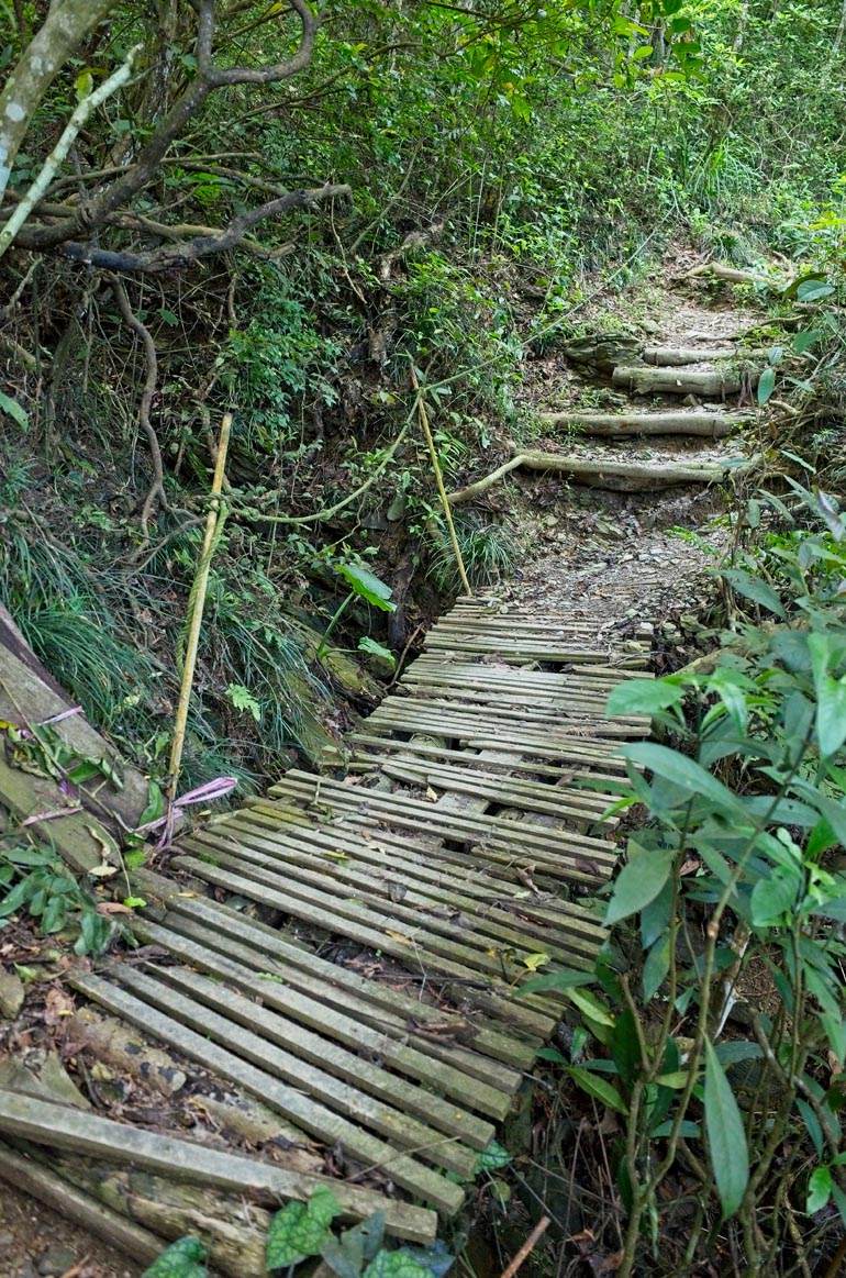 A short, thin wooden plank bridge that looks in questionable shape