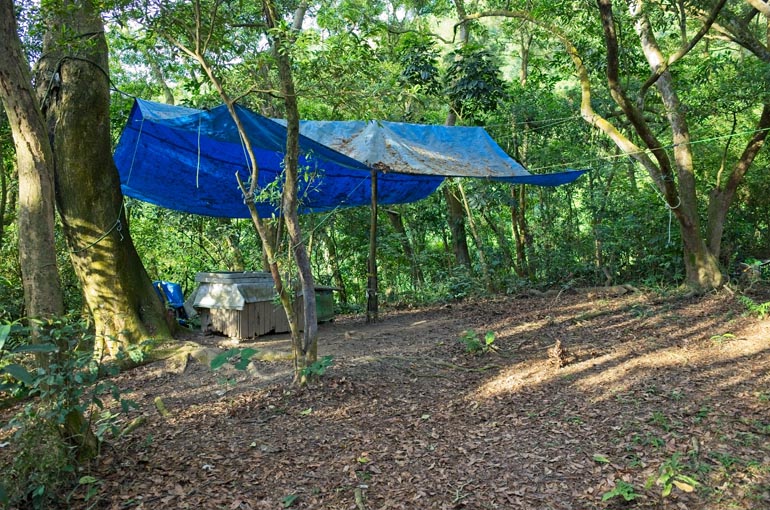 Large blue tarp strung to trees - large tables underneath