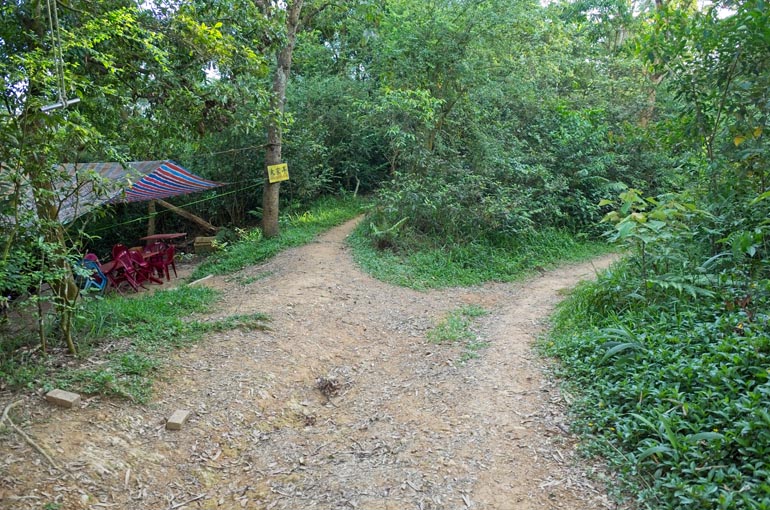 Dirt road - trail off to the right leading up into trees - colorful tarp hung to trees on the left - plastic chairs and table underneath