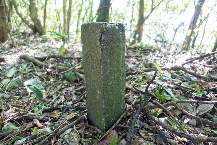 Old style marker on trail - pillar sticking out of ground