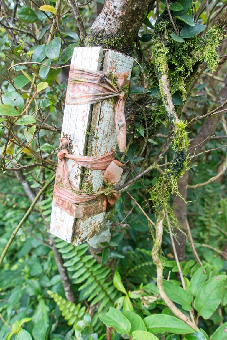 A few slats of wood painted white - faded - attached to tree with old faded red ribbon - moss growing in places