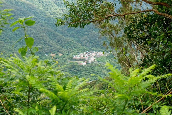 Zoomed in picture of village in the distance - trees in foreground