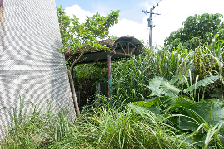 A metal covered area next to concrete structure - lots of tall grass all around