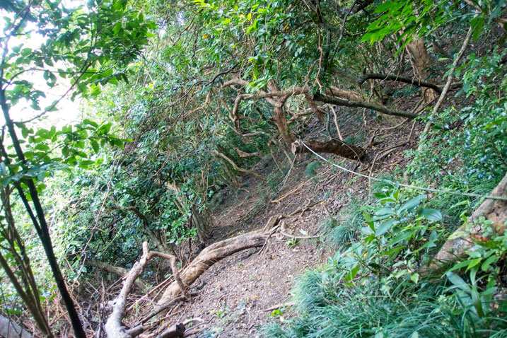 Steep trail with rope guide