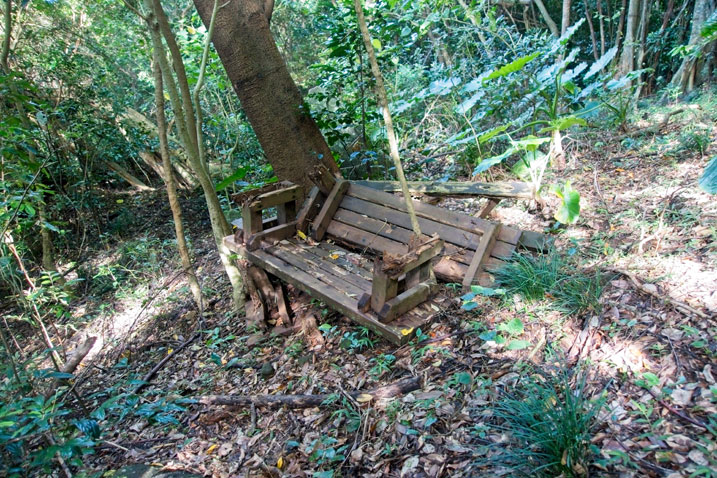 Destroyed wooden bench lying next to a tree