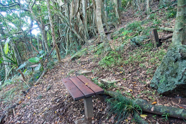 Wooden bench on side of mountain next to trail